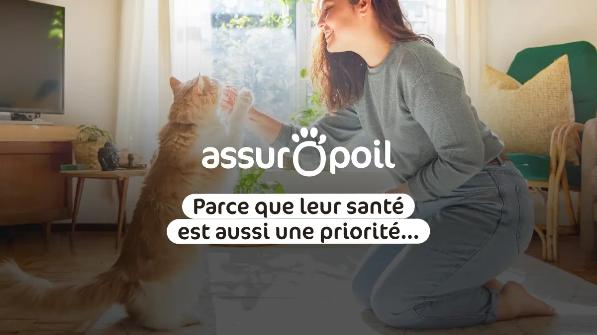 Assur O'Poil avis
